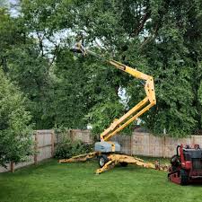 Kualapuu, HI Tree Removal and Landscaping Services Company